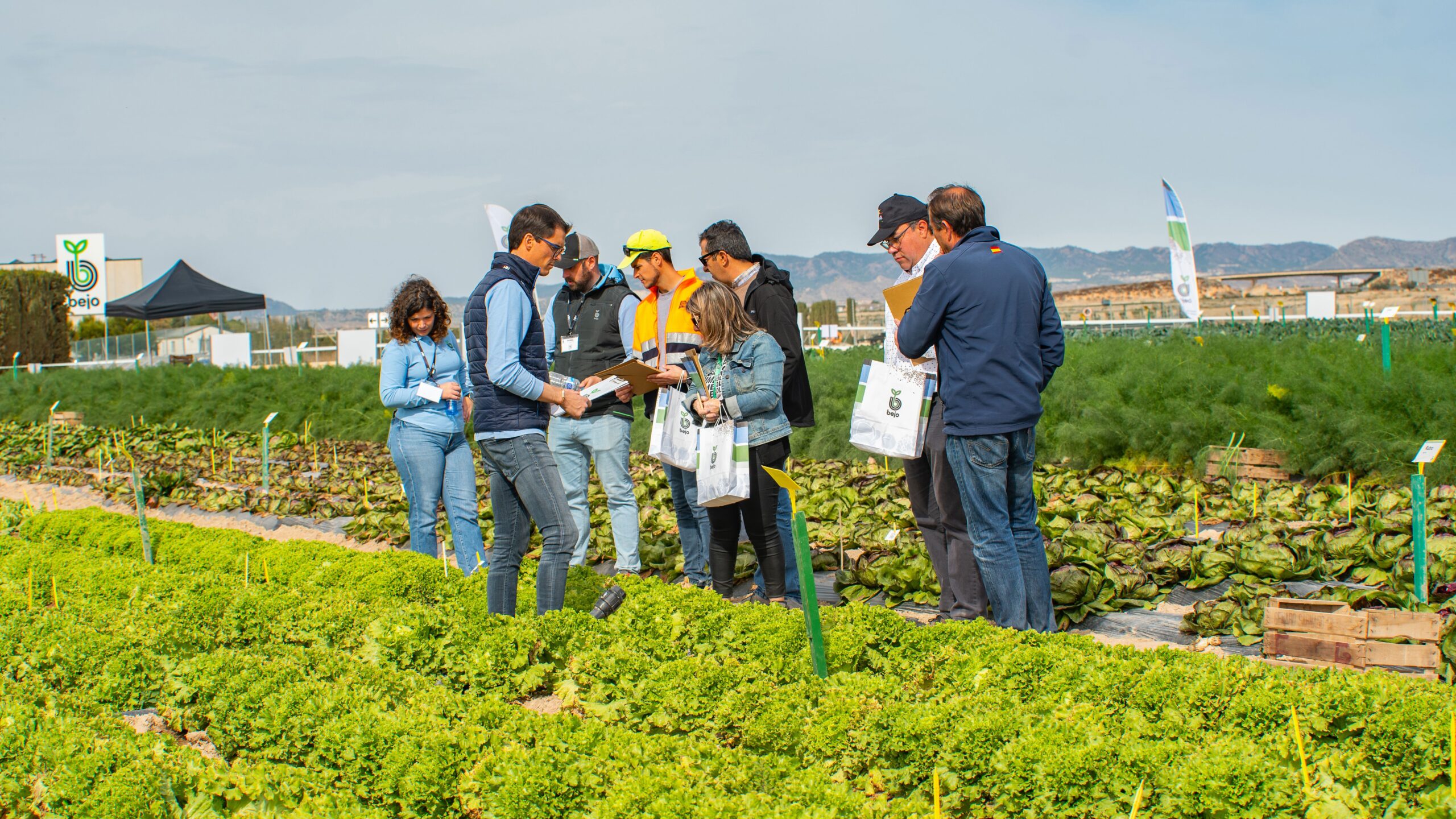 bejo Murcia open days|bejo Murcia open days|bejo Murcia open days